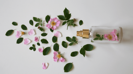 The Role of Top, Middle, and Base Notes in Perfumes