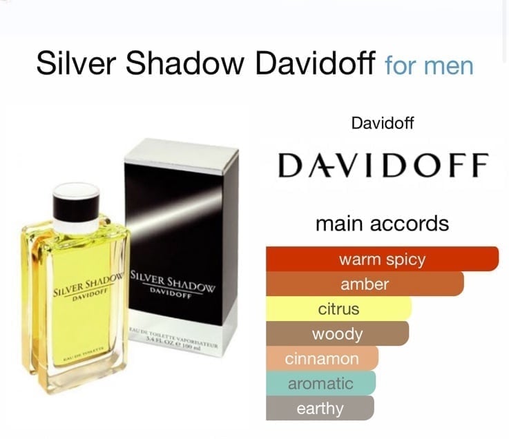 Discover Discontinued New in Sealed Box Silver Shadow EDT by Davidoff 100ml/3.4 oz (FOS1149) - Premium Quality Fragrances | Davidoff,Designer,Fall,Fragrance,Men,Rare Finds,Seasonal,Spring,Woody & Earthy by Feelings of Scent