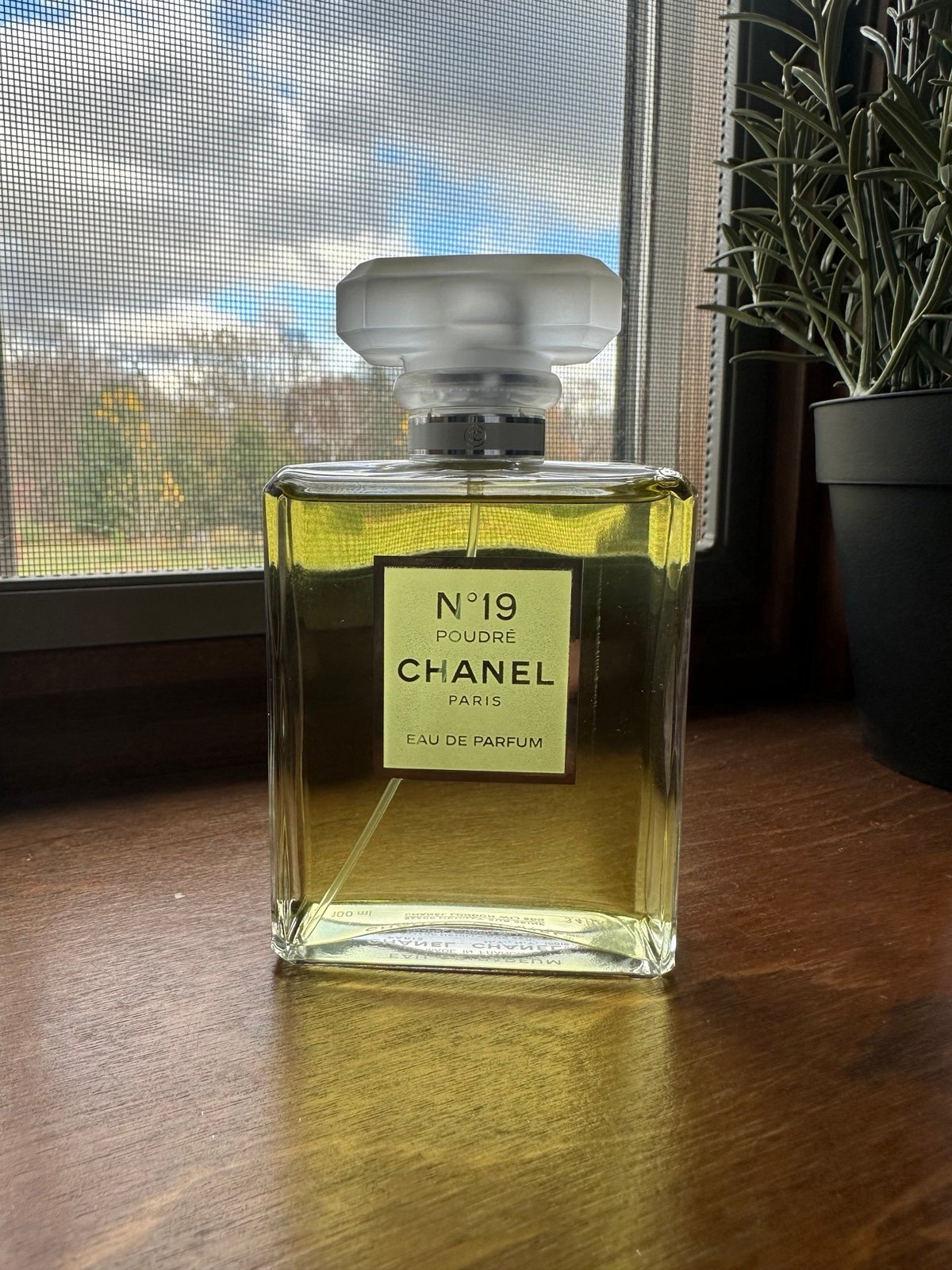 Discover Chanel No. 19 Poudre EDP 3.4oz Perfume (FOS1095) - Premium Quality Fragrances | Chanel,Designer,Floral Notes,Fragrance,Highly Rated,Seasonal,Spring,Summer,Women by Feelings of Scent
