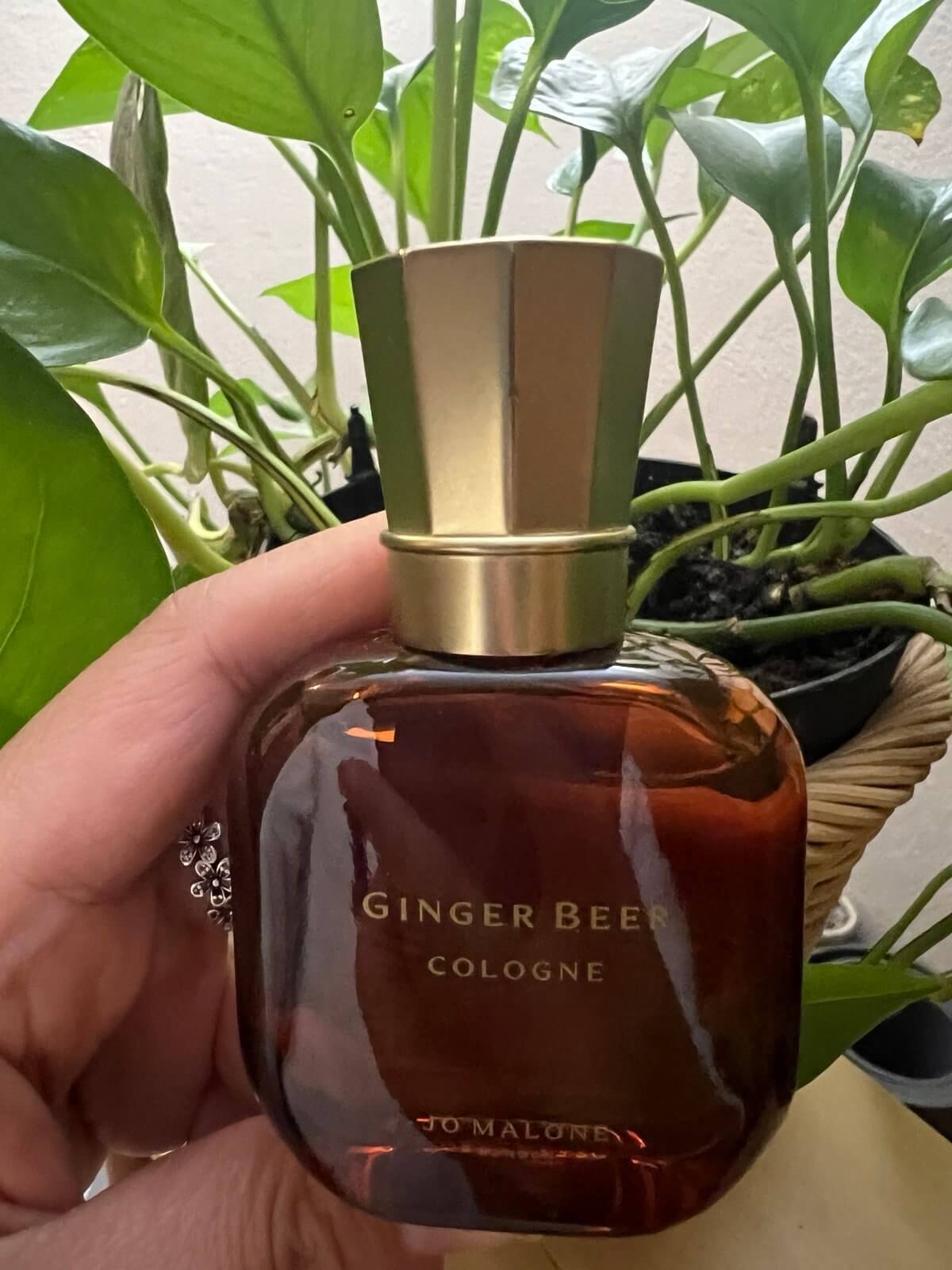 Discover Jo Malone London Ginger Beer Cologne Full Size, 1 oz/30ml Limited Edition NWOB (FOS1229) - Premium Quality Fragrances | Citrus & Fresh,Exclusive Releases,Fragrance,Jo Malone,Niche,Seasonal,Spring,Summer,Unisex by Feelings of Scent