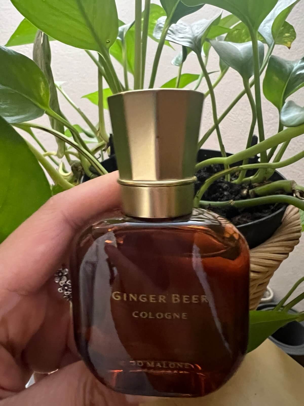 Discover Jo Malone London Ginger Beer Cologne Full Size, 1 oz/30ml Limited Edition NWOB (FOS1229) - Premium Quality Fragrances | Citrus & Fresh,Exclusive Releases,Fragrance,Jo Malone,Niche,Seasonal,Spring,Summer,Unisex by Feelings of Scent