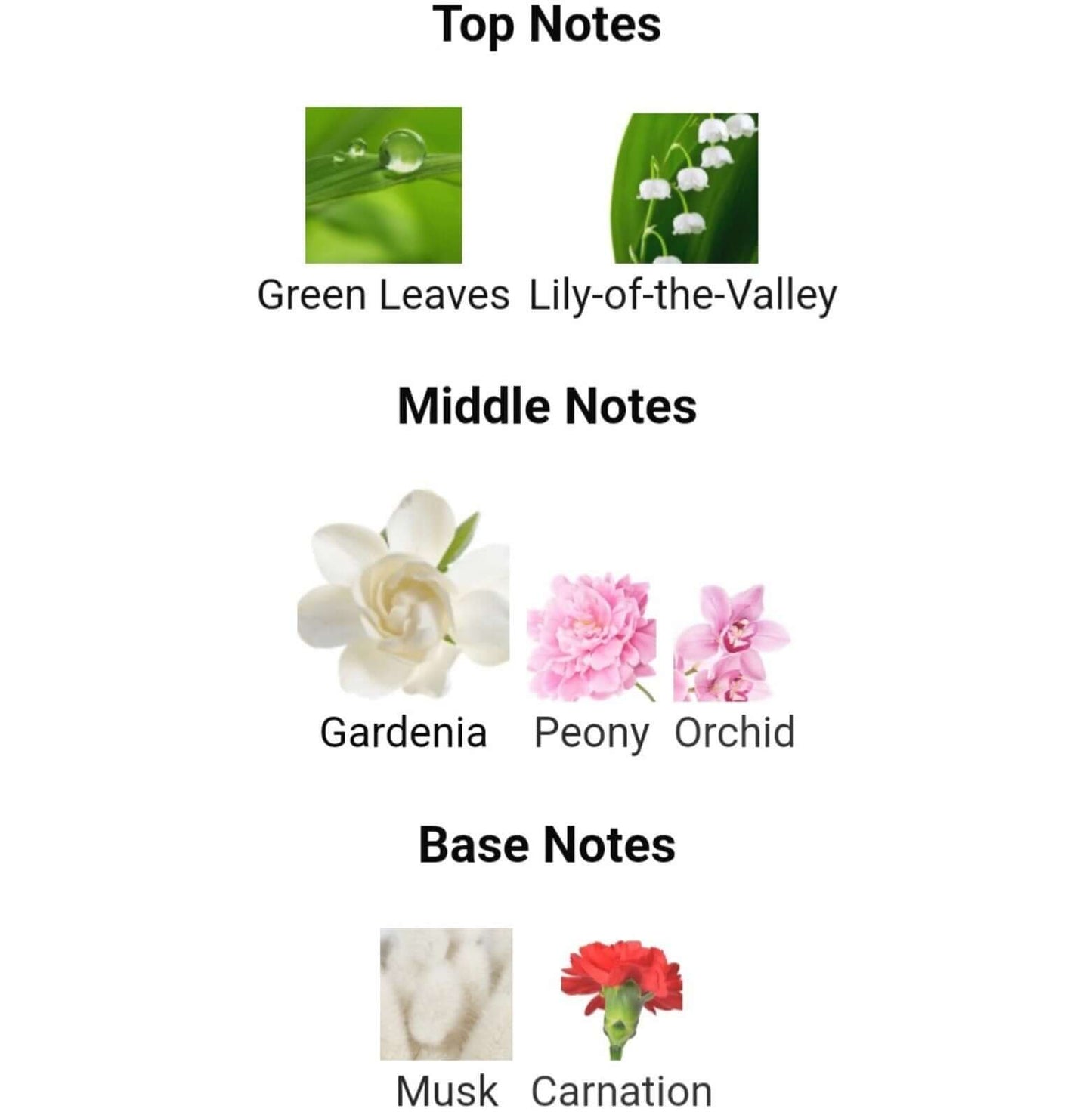 Discover Elizabeth Taylor Gardenia edp 3.3 o.z new perfume (FOS1167) - Premium Quality Fragrances | Designer,Elizabeth Taylor,Floral Notes,Fragrance,Highly Rated,Seasonal,Spring,Summer,Women by Feelings of Scent