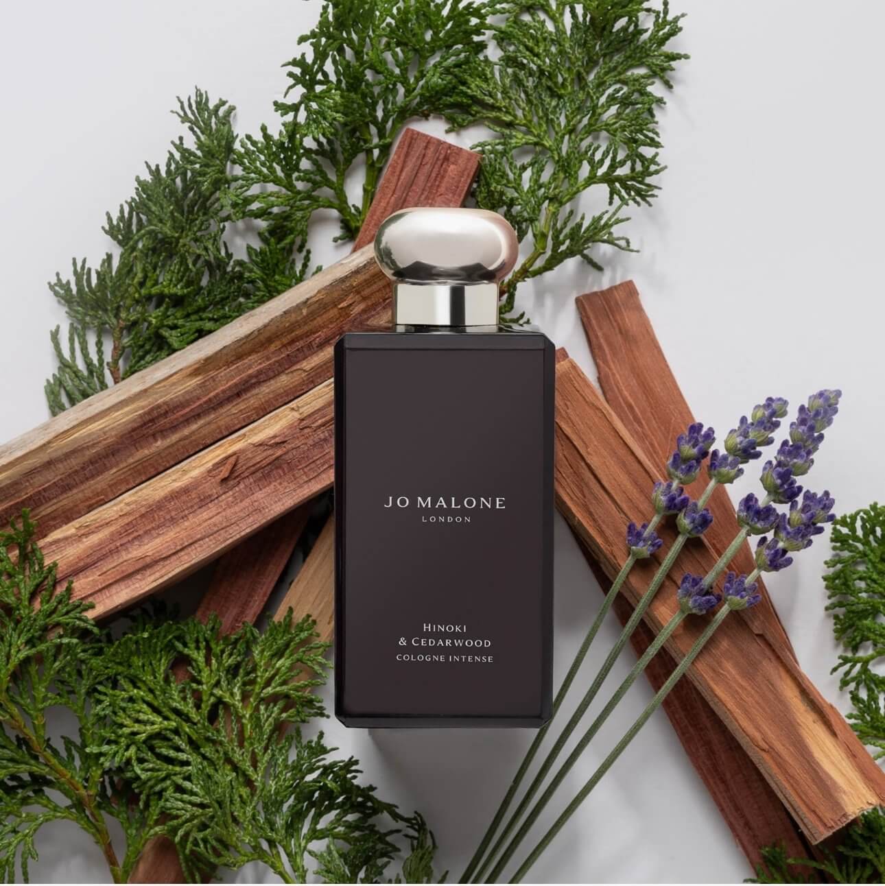 Discover Jo Malone Hinoki & Cedarwood 3.4oz/100ml NEW + Fresh Scent retail price $228 (FOS1226) - Premium Quality Fragrances | Exclusive Releases,Fall,Fragrance,Jo Malone,Niche,Seasonal,Unisex,Winter,Woody & Earthy by Feelings of Scent